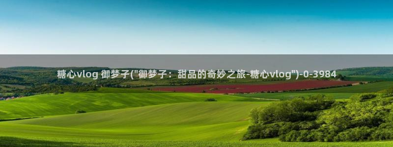 糖心vlog八大家
