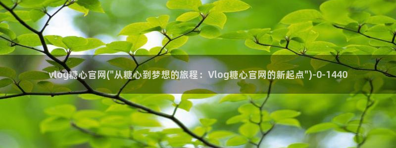 创可贴糖心vlog在线观看免费