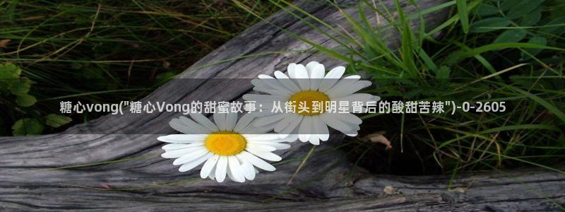 糖心vlog 多乙