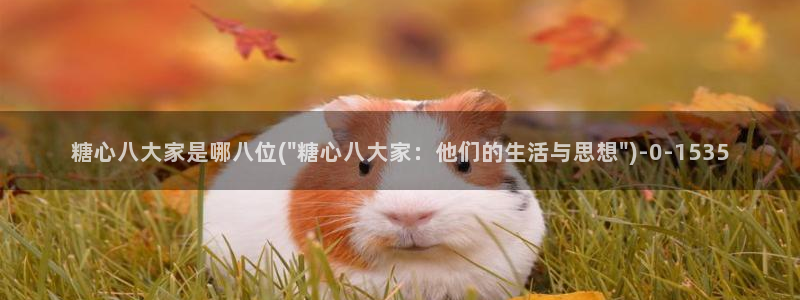 糖心vlogvlog