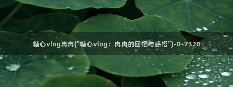 柚子猫糖心vlog胡桃