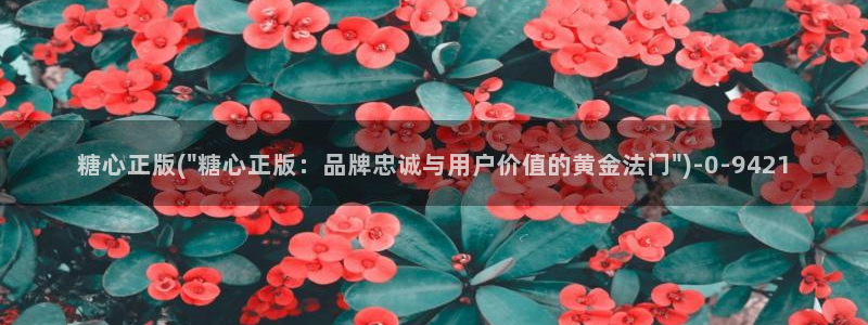 糖心vlog博主