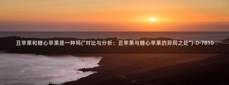 《糖心vlog》
