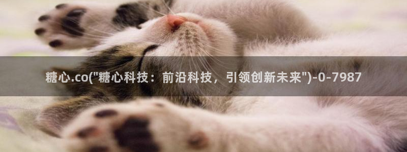 糖心柚子猫vlog