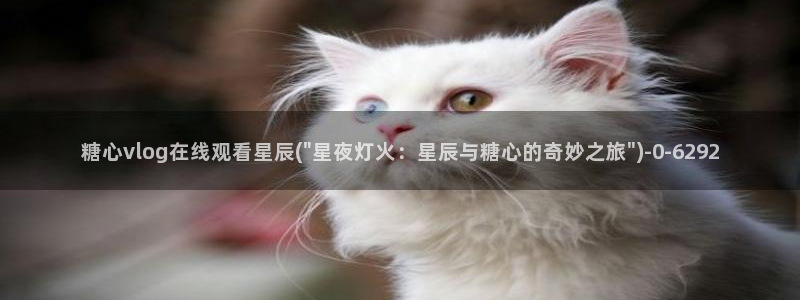 糖心vlog .com