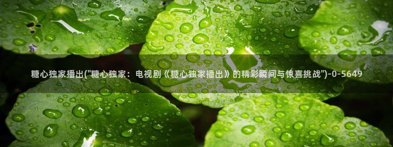 心糖vlog免费在线观看